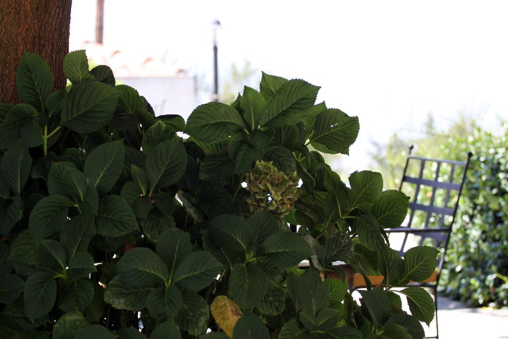 Guesthouse Kolenti ปอร์เตเรีย ภายนอก รูปภาพ